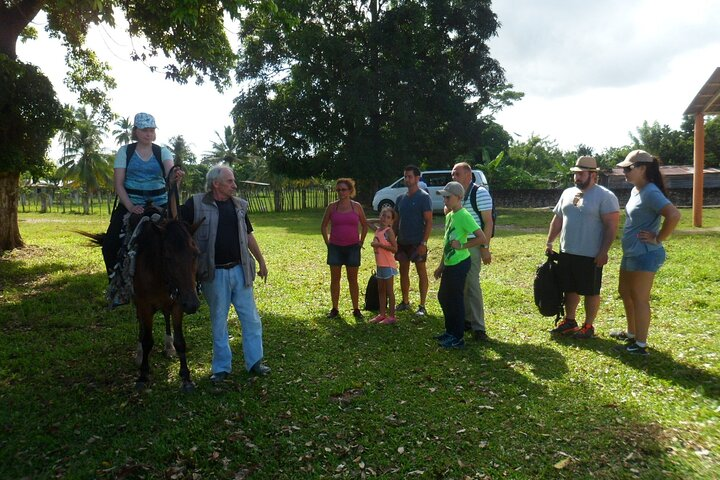 Horseback Riding Across Indigenous Trails Puerto Plata - Photo 1 of 6